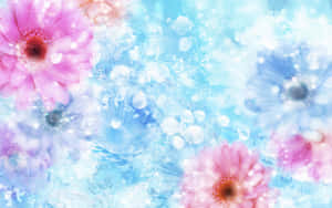 A Dreamy Pink Flower Desktop Wallpaper Wallpaper