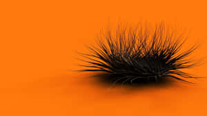 A Fantastic View Of The Warmest Orange Desktop Wallpaper