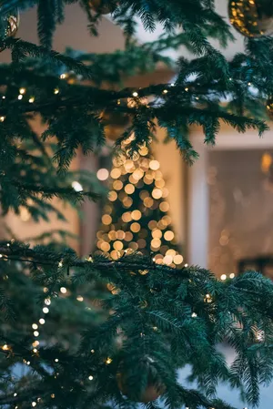A Festive Christmas Tree Ornament For The Holiday Season. Wallpaper