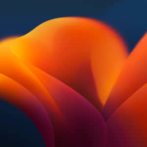 A Flatlay Of Colorful Orange And Teal Objects Wallpaper