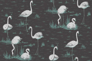 A Flock Of Flamingos Brings Cheerful Colour To A Dreary Day. Wallpaper