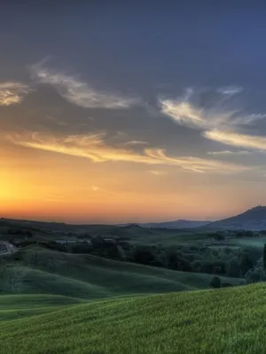A Forest Babbling Brook Of The Pristine Nature Wallpaper