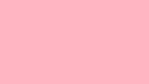 A Gentle, Pastel Pink Background To Bring Some Much-needed Zen Into Your Life. Wallpaper