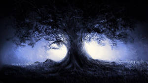 A Giant Tree In A Dark Forest Wallpaper