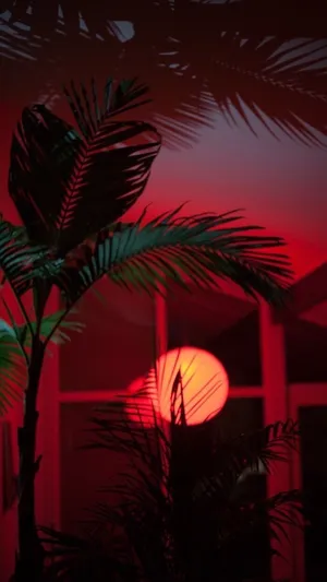 A Glittery Celebration Of Beauty Wallpaper