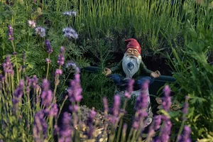 A Gnome's Garden Meditation Wallpaper