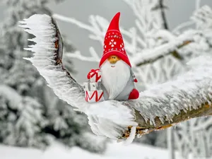 A Gnome Sitting On A Branch With Snow On It Wallpaper