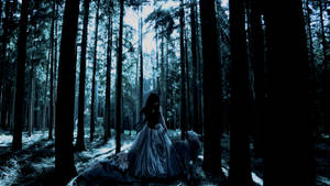 A Gothic Girl Wanders Through The Woods With Her Wolf Companions Wallpaper