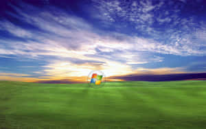 A Green Field With A Blue Sky Wallpaper