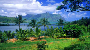 A Green Field With Trees And A Lake Wallpaper