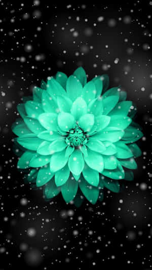 A Green Flower With Snow Falling On It Wallpaper