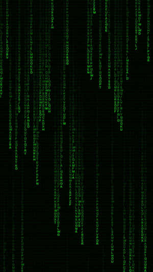 A Green Matrix Code Background Wallpaper