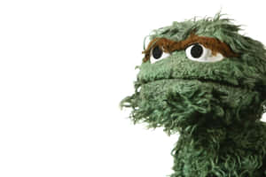 A Green Stuffed Animal With Long Hair Wallpaper