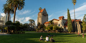 A Group Of People Sitting On The Grass Wallpaper