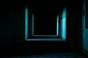 A Haunting Night In The Woods Wallpaper