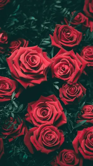 A Hint Of Beauty To Brighten Up Your Day Wallpaper