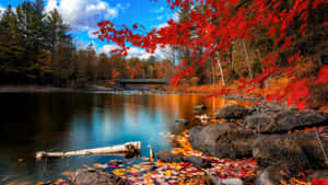 A Lake With Red Leaves And Rocks Wallpaper