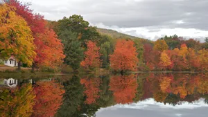A Lake With Trees Wallpaper