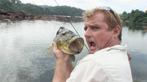 A Large Largemouth Bass Swims In Its Natural Habitat Wallpaper