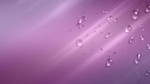 A Lavender Gradient Background Of Water Droplets Wallpaper