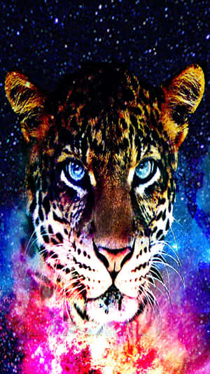 A Leopard With Blue Eyes Wallpaper