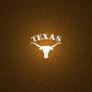 A Longhorn Stands Proud In Texas Wallpaper