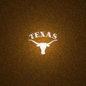 A Longhorn Stands Proud In Texas Wallpaper