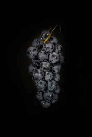 A Lush Bunch Of Grapes On The Vine Wallpaper