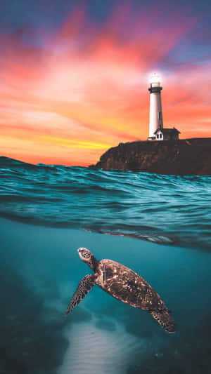 A Lush Sea Turtle Glides Happily Through The Warm Sun-filled Waters. Wallpaper