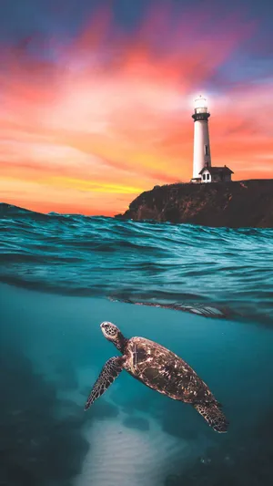 A Lush Sea Turtle Glides Happily Through The Warm Sun-filled Waters. Wallpaper