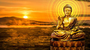 A Majestic Gold Buddha Statue Glistens In The Evening Sun Wallpaper