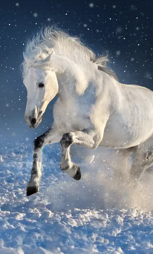 A Majestic Horse Running Through A Lush Green Field, Perfect For Your Iphone Wallpaper. Wallpaper