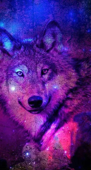 A Majestic Pretty Wolf Enjoying A Peaceful Moment In The Outdoors Wallpaper