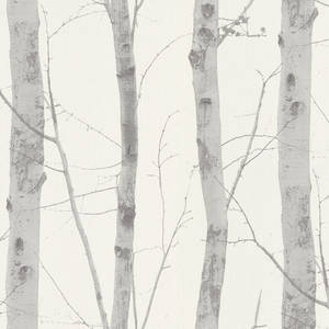 A Majestic Silver Birch Tree On A Bright Sunny Day. Wallpaper