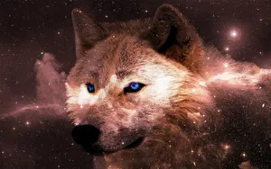 A Majestic White Wolf Stands Atop A Cliff Side, Gazing At The World Below. Wallpaper