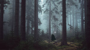 A Man In A Cloak Is Standing In A Forest Wallpaper