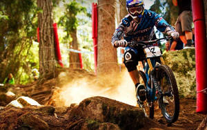 A Man Riding A Mountain Bike Through A Forest Wallpaper