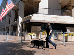 A Man Walking A Dog In Front Of A Building Wallpaper