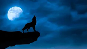 “a Mesmerizing Display, The Wolf Moon Rises Full Through The Night Sky.” Wallpaper