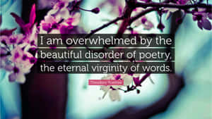 A Mesmerizing Snapshot Of Poetry Overwhelming Beauty Wallpaper