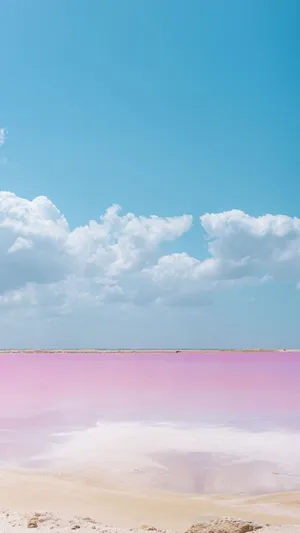 A Mesmerizing View Of The Captivating Pink Beach Wallpaper
