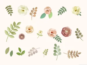 A Minimalist Flower Arranged On A Sleek Computer Wallpaper