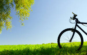 A Mountain Biker Adventuring Through The Stunning Grassy Mountains Wallpaper