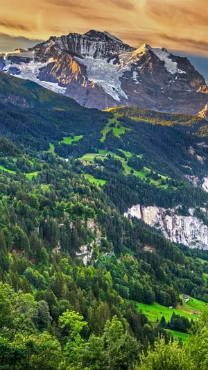 A Mountain Range With A Green Forest Wallpaper