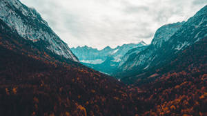 A Mountain Valley With Trees And Clouds Wallpaper