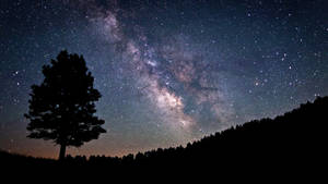 A Mysterious Lone Tree Stands Silhouetted Against A Star-filled Night Sky. Wallpaper