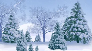 A Mysterious Winter Forest Wallpaper