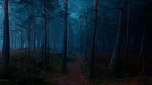 A Mystical Landscape In A Dark Foggy Forest Wallpaper