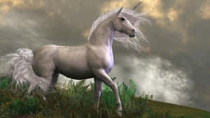 A Mythical White Unicorn Trots Gently In The Dark Forest Wallpaper