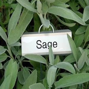 A Name Tag With The Word